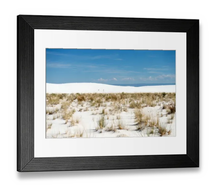 Framed Print : Plants at White Sands National Monument New Mexico