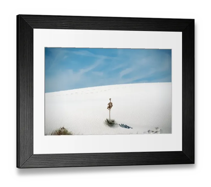 Framed Print : Yucca tree at White Sands National Monument