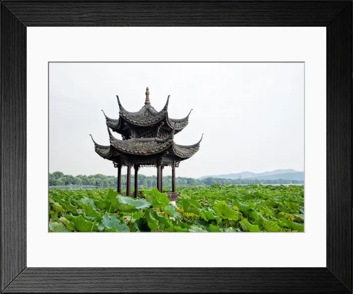 Framed Print : Pavilion in lotus field at West lake, Hangzhou Framed Print : Pavilion in lotus field at West lake, Hangzhou