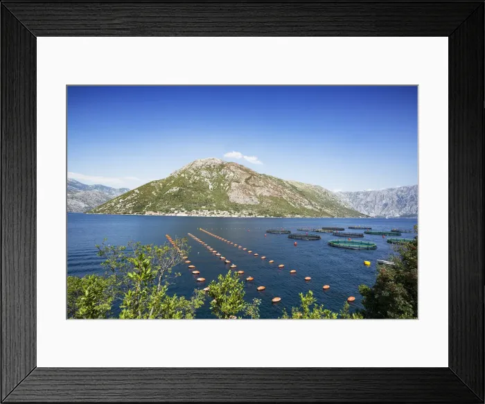 Framed Print : Bay of Kotor Framed Print : Bay of Kotor