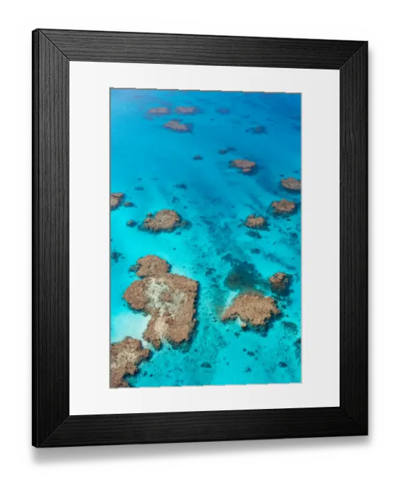 Framed Print : Great Barrier Reef Framed Print : Great Barrier Reef