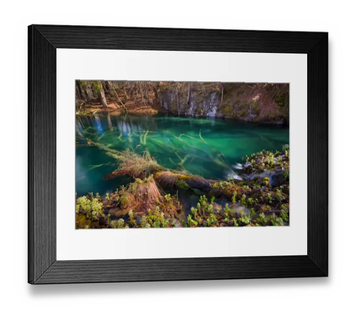 Framed Print : Submerged trees in turquoise lakes, Plitvice