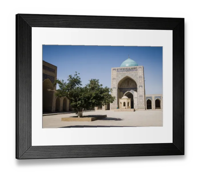 Framed Print : Lone tree in Kalyan Mosque, Bukhara, Uzbekistan Framed Print : Lone tree in Kalyan Mosque, Bukhara, Uzbekistan