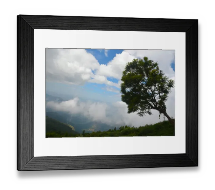 Framed Print : Kodaikanal Hill Framed Print : Kodaikanal Hill