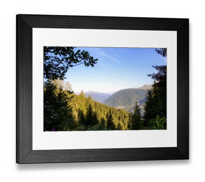 Framed Print : Italy, Val di Sole view from a forest