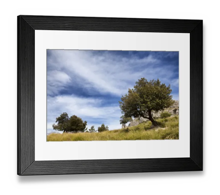 Framed Print : Countryside landscape in Mallorca Framed Print : Countryside landscape in Mallorca