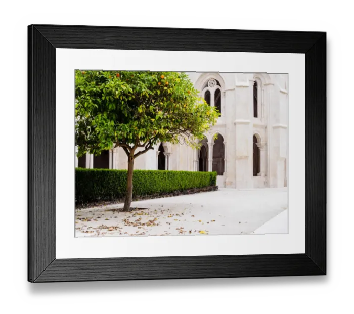 Framed Print : Alcobaca Monastery Cloister Framed Print : Alcobaca Monastery Cloister