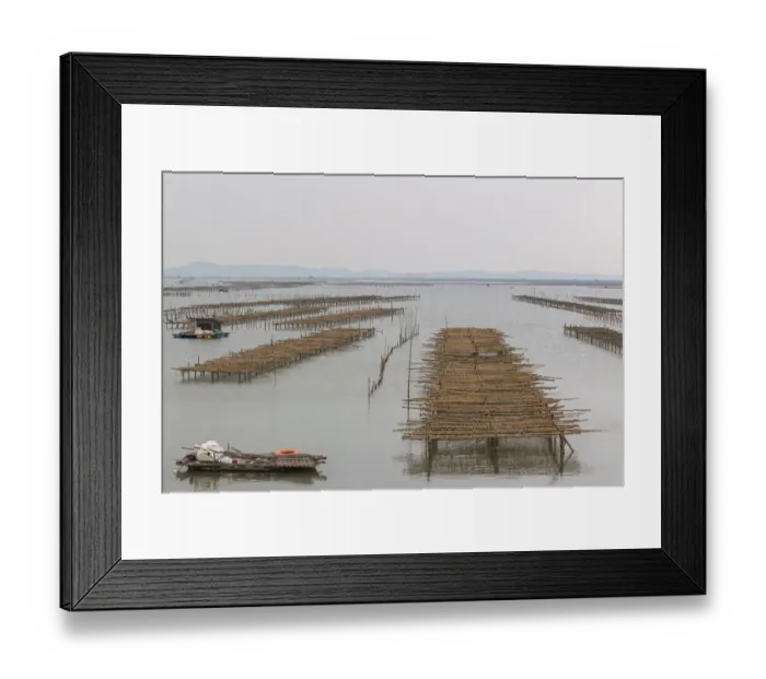 Framed Print : Oyster farm near halong bay Framed Print : Oyster farm near halong bay