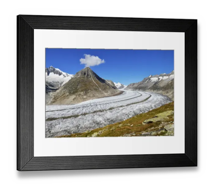 Framed Print : Great Aletsch Glacier, Mt Olmenhorn at the front, Mt Aletschhorn at the back, Canton of Valais, Goms, Switzerland Framed Print : Great Aletsch Glacier, Mt Olmenhorn at the front, Mt Aletschhorn at the back, Canton of Valais, Goms, Switzerland