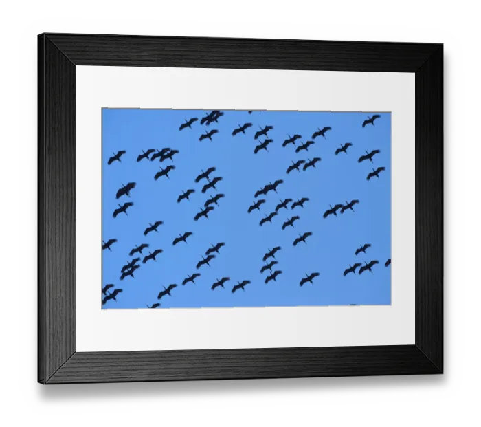 Framed Print : Mana Pools National Park, Zimbabwe Framed Print : Mana Pools National Park, Zimbabwe