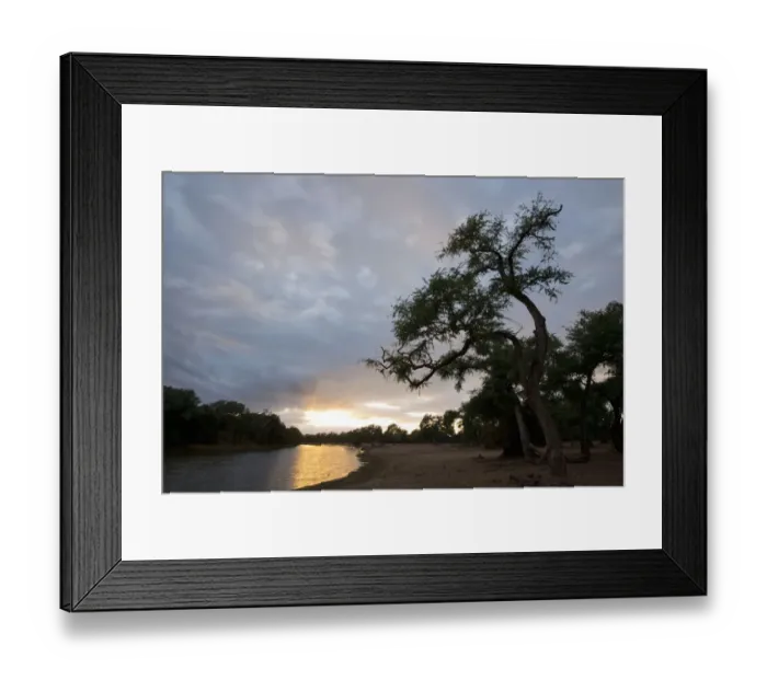 Framed Print : Green Pool, Mana Pools National park, Zimbabwe Framed Print : Green Pool, Mana Pools National park, Zimbabwe