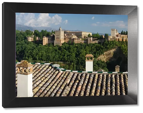 The Alhambra of Granada and roofs- Granada-Spain