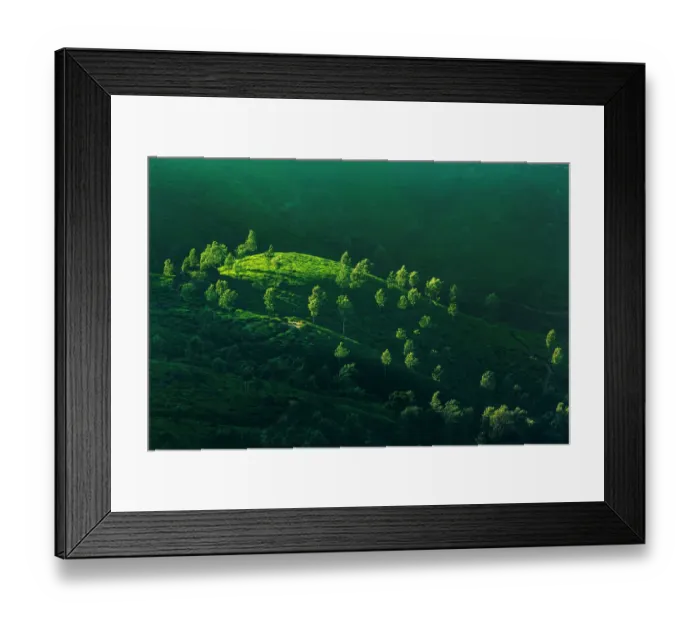 Framed Print : Tea plantations in India at sunrise Framed Print : Tea plantations in India at sunrise