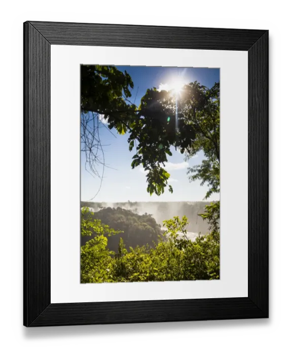 Framed Print : Sun between trees in IguaAzu National Park Framed Print : Sun between trees in IguaAzu National Park
