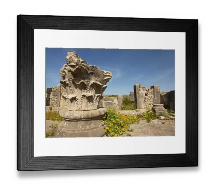 Framed Print : Ruins of Roman city of Volubilis Framed Print : Ruins of Roman city of Volubilis