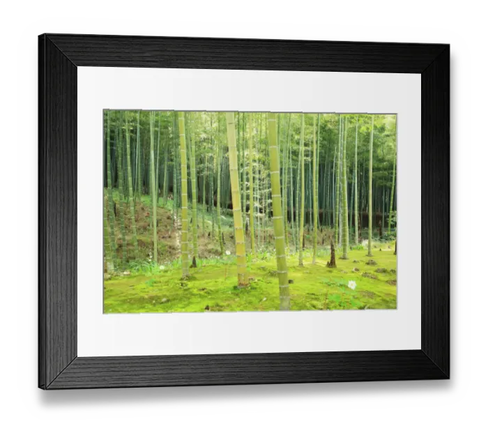 Framed Print : Bamboo, Arashiyama, Kyoto Framed Print : Bamboo, Arashiyama, Kyoto