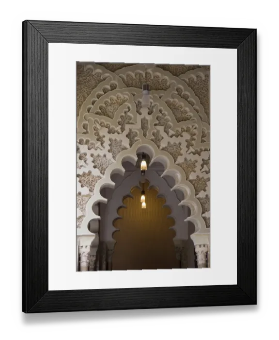 Framed Print : The AljaferAia Palace Framed Print : The AljaferAia Palace