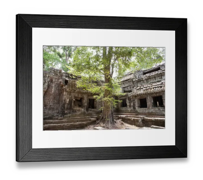 Framed Print : Ta Prohm Temple Framed Print : Ta Prohm Temple