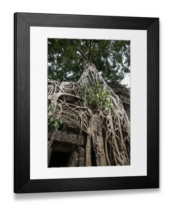 Framed Print : The entrance to Ta Prohm Temple Framed Print : The entrance to Ta Prohm Temple