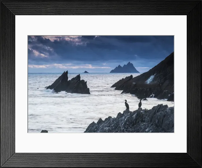 Framed Print : Cormorants on the rocks Framed Print : Cormorants on the rocks