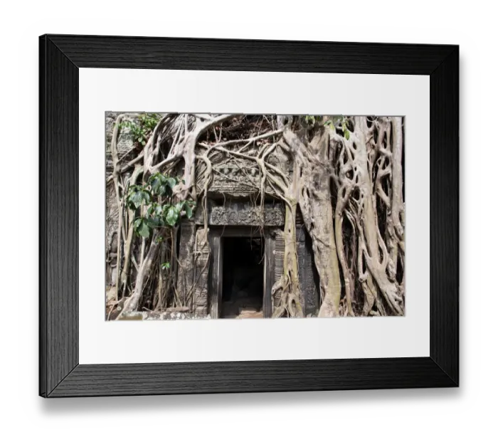 Framed Print : The entrance to Ta Prohm Temple Framed Print : The entrance to Ta Prohm Temple