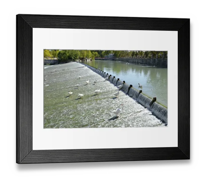 Framed Print : Gardens of Aranjuez Framed Print : Gardens of Aranjuez