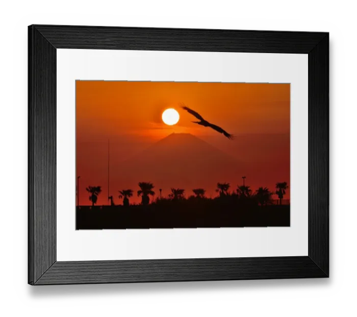 Framed Print : Mt Fuji and Sunset Framed Print : Mt Fuji and Sunset