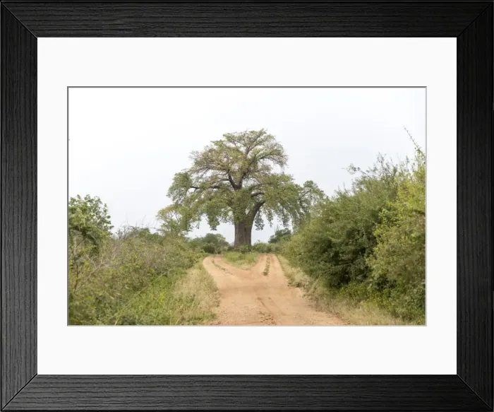Framed Print : Mana Pools National Park Framed Print : Mana Pools National Park