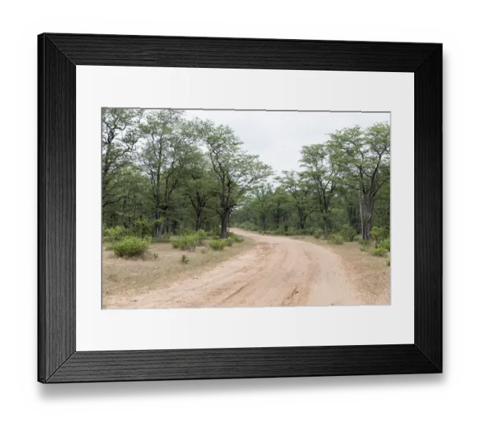 Framed Print : Mana Pools National Park