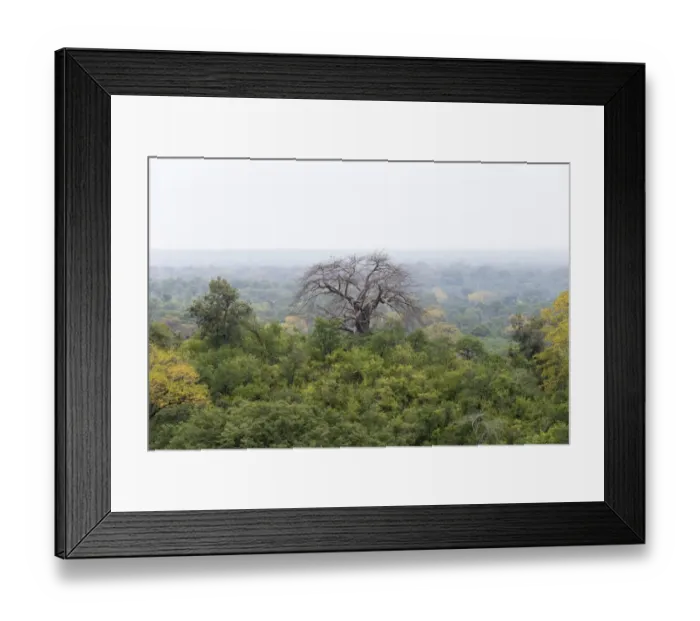 Framed Print : Mana Pools National Park Framed Print : Mana Pools National Park