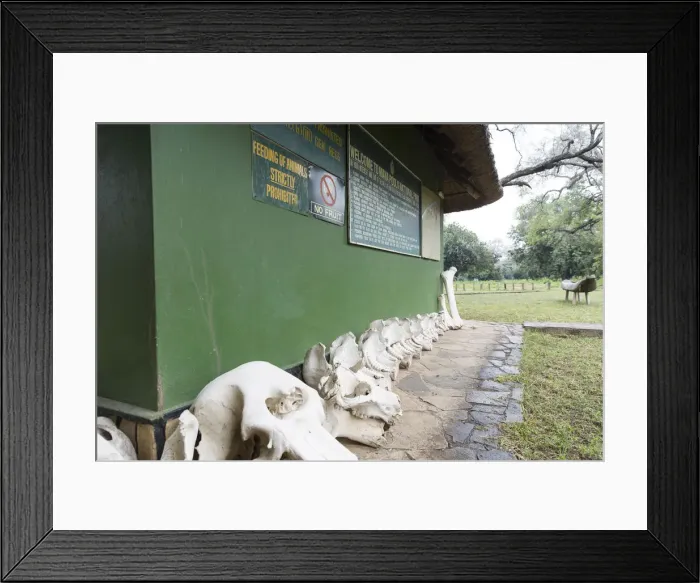 Framed Print : Mana Pools National Park Framed Print : Mana Pools National Park
