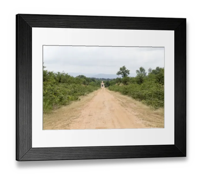 Framed Print : Mana Pools National Park Framed Print : Mana Pools National Park