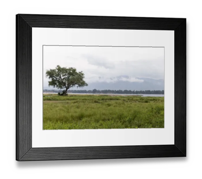 Framed Print : Sambesi in the Mana Pools National Park Framed Print : Sambesi in the Mana Pools National Park