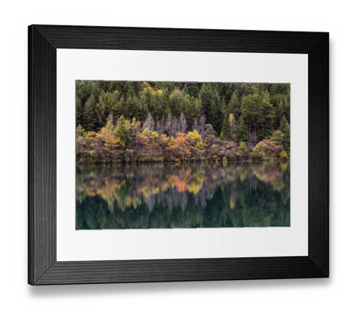 Framed Print : Mirror lake in autumn, Jiuzhaigou Valley Framed Print : Mirror lake in autumn, Jiuzhaigou Valley