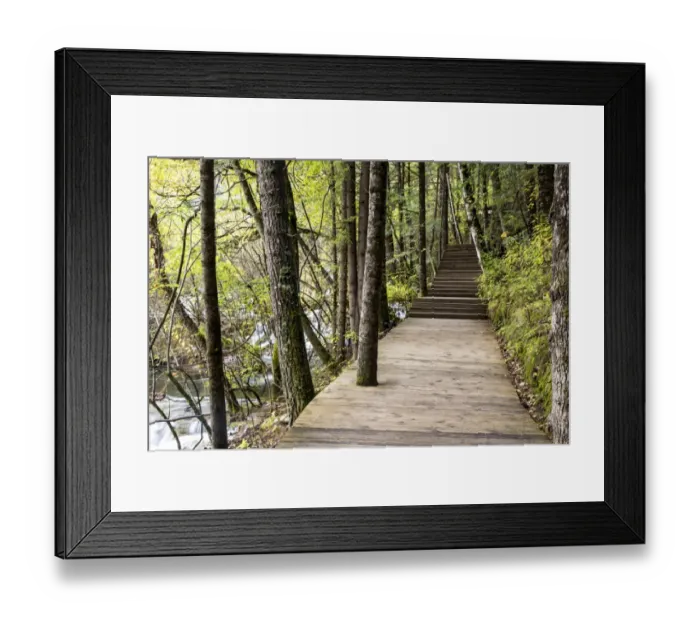 Framed Print : Boardwalk in Jiuzhaigou Valley forest Framed Print : Boardwalk in Jiuzhaigou Valley forest