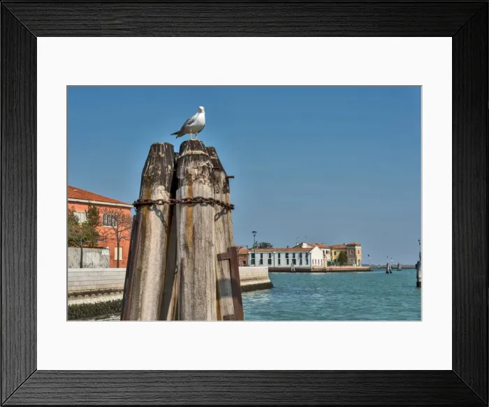 Framed Print : Murano is a series of islands linked by bridges in the Venetian Lagoon, northern Italy Framed Print : Murano is a series of islands linked by bridges in the Venetian Lagoon, northern Italy