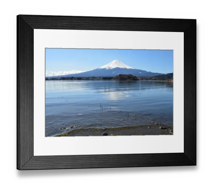 Framed Print : Mt. Fuji reflected in lake Kawaguchiko Framed Print : Mt. Fuji reflected in lake Kawaguchiko