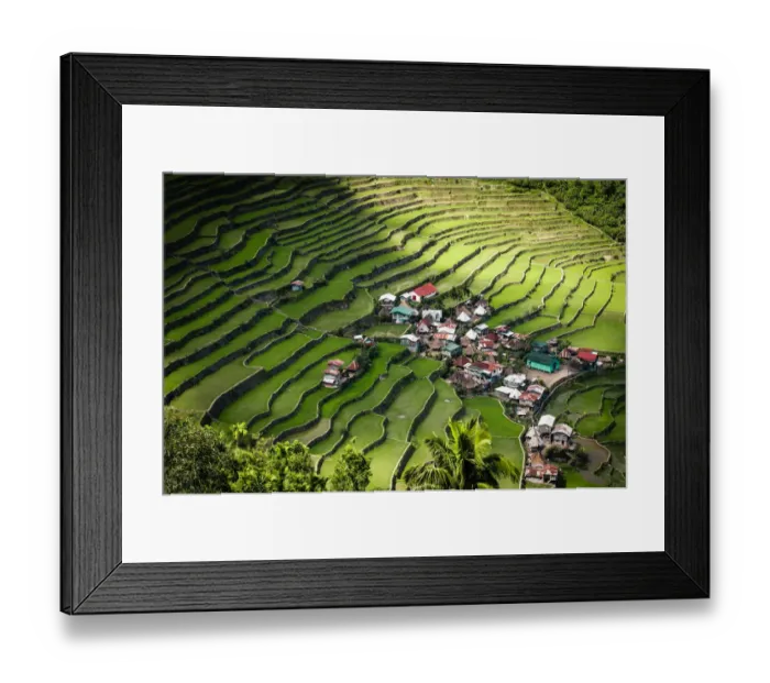 Framed Print : Rice terraces, Batad, Philippines Framed Print : Rice terraces, Batad, Philippines