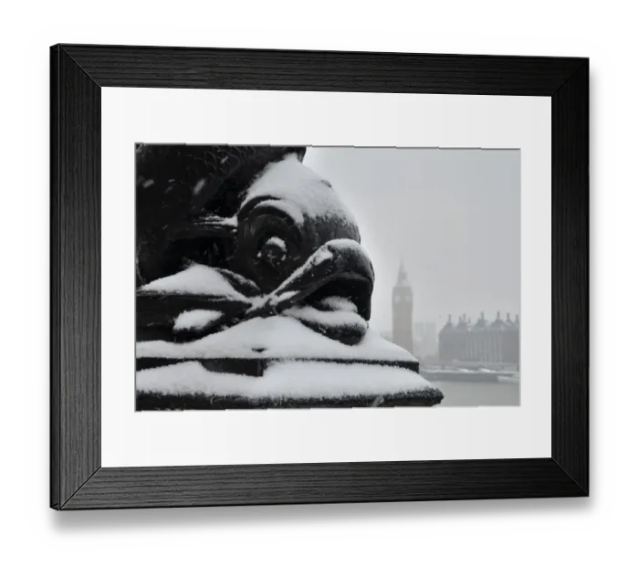 Framed Print : In the Snow Framed Print : In the Snow