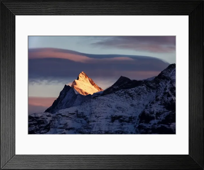 Framed Print : Finsteraarhorn in Swiss Bernese Alps at sunset Framed Print : Finsteraarhorn in Swiss Bernese Alps at sunset