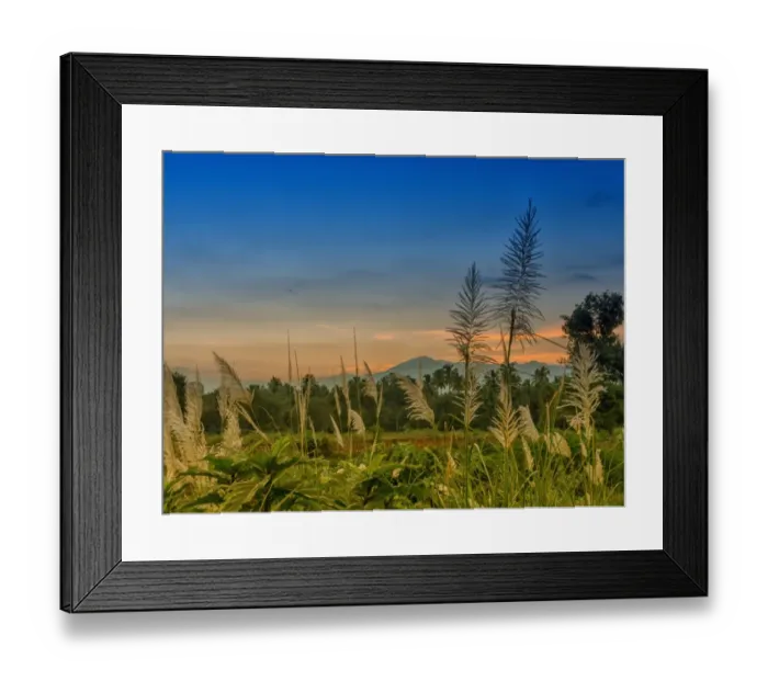Framed Print : Dusk. Western Ghats, South India Framed Print : Dusk. Western Ghats, South India