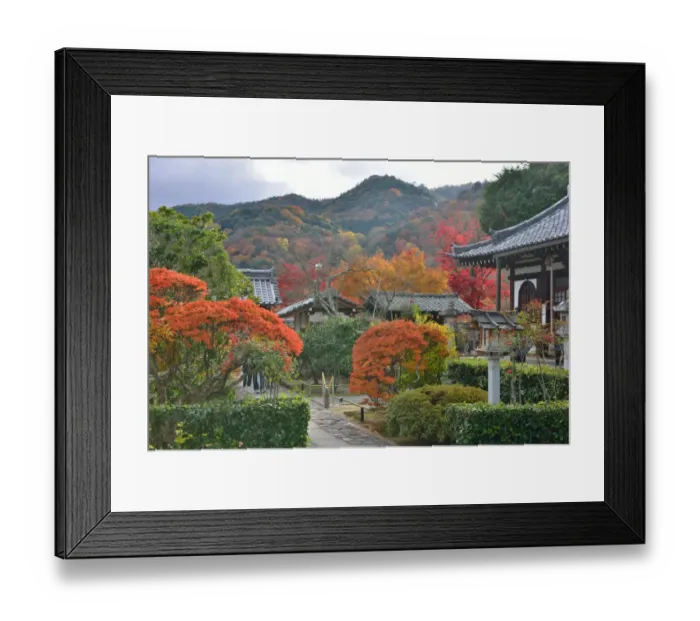 Framed Print : Autumn Colors in Kyoto, Japan Framed Print : Autumn Colors in Kyoto, Japan