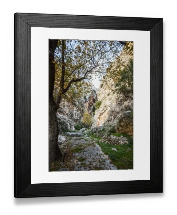 Framed Print : A worn and overgrown path in ancient Greece Framed Print : A worn and overgrown path in ancient Greece