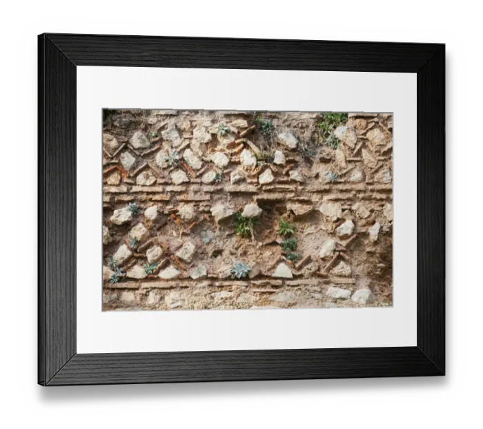 Framed Print : Old stone wall with plants growing on it Framed Print : Old stone wall with plants growing on it