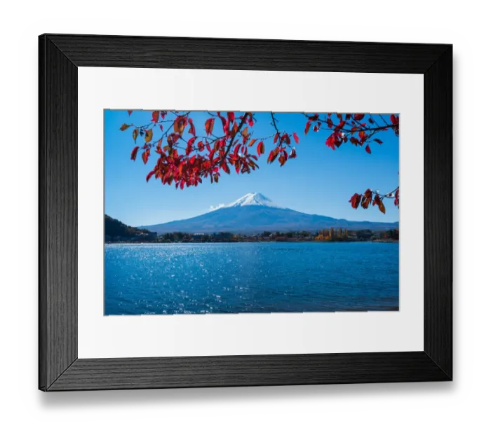 Framed Print : Mt. Fuji with autumn leaves Framed Print : Mt. Fuji with autumn leaves