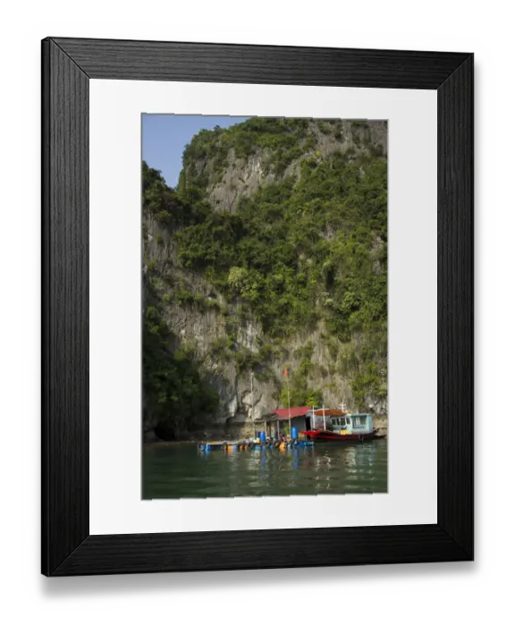 Framed Print : Fishing village in Ha Long Bay, Vietnam Framed Print : Fishing village in Ha Long Bay, Vietnam
