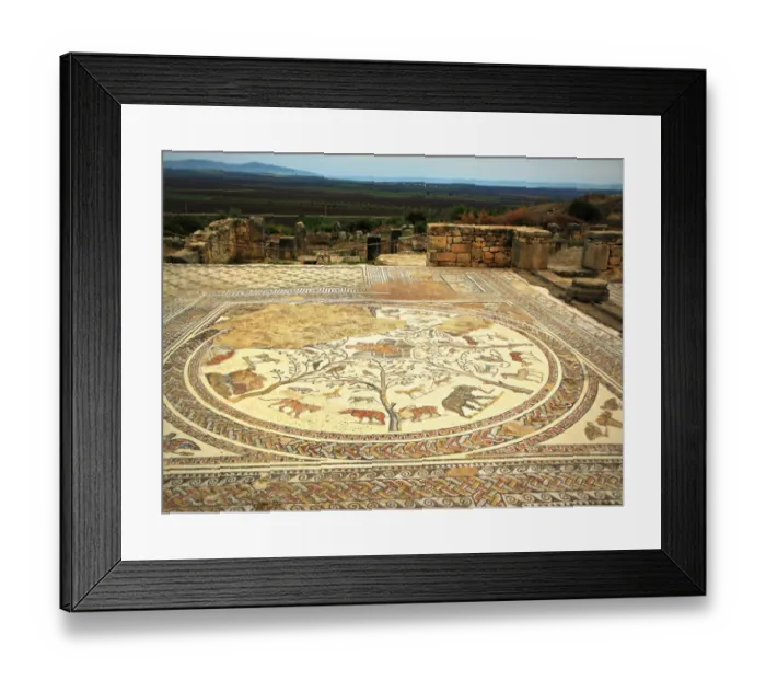 Framed Print : Volubilis, ehem. rAom. Garnisonsstadt Framed Print : Volubilis, ehem. rAom. Garnisonsstadt