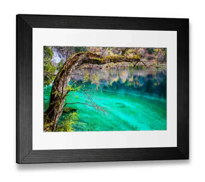 Framed Print : Panda Lake, Jiuzhaigou National Park, China Framed Print : Panda Lake, Jiuzhaigou National Park, China