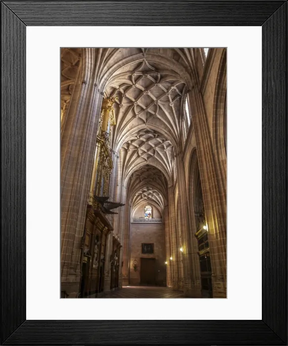 Framed Print : Inside of the Cathedral of Segovia, ceiling detail Framed Print : Inside of the Cathedral of Segovia, ceiling detail