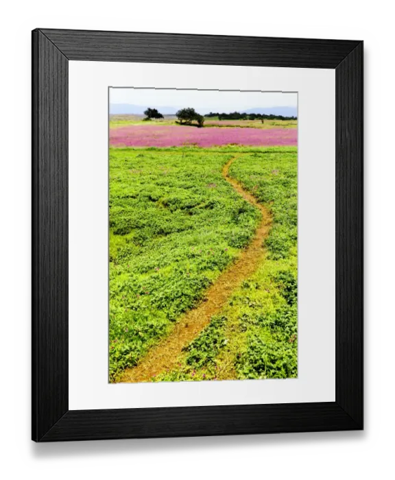 Framed Print : Ks Plateau Framed Print : Ks Plateau